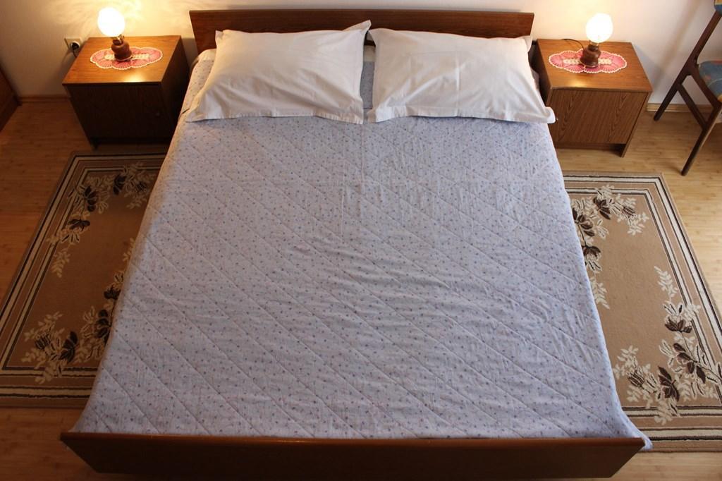 Pet Friendly In With Wifi Poreč